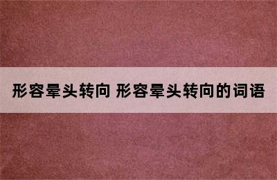 形容晕头转向 形容晕头转向的词语